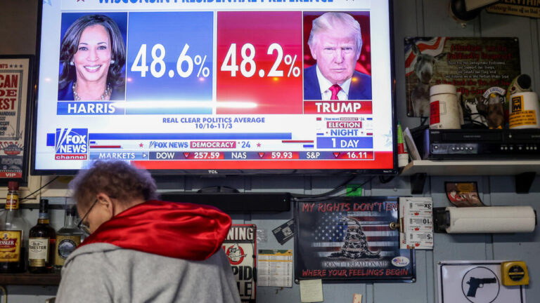 Asian Market Swings: U.S. Election Looms Over Global Stocks